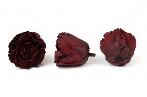 preserved-romantic-rose-heads-ecuador-9.