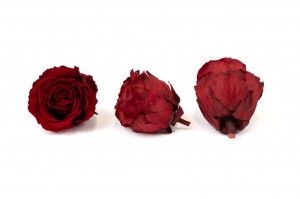 preserved-rose-heads-14.