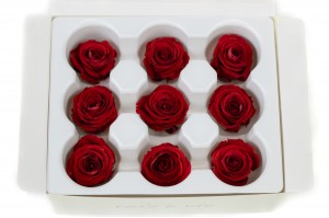 tetes-de-rose-stabilisees-14.