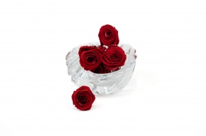 preserved-rose-heads-14.