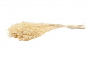 dried-broom-bloom-20.