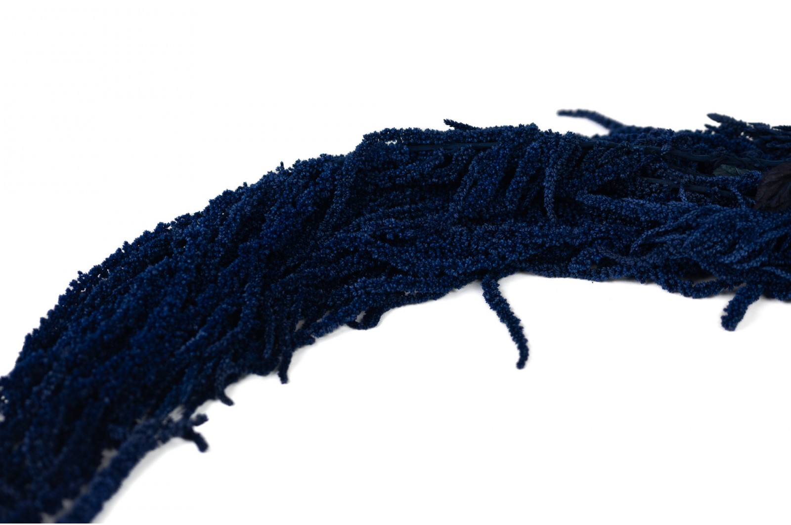 Preserved amaranthus (8) preserved-amaranthus-8