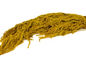 preserved-amaranthus-26.