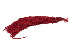 preserved-amaranthus-26.