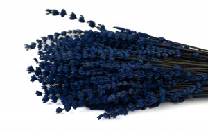 stabilisierter-lavendel-8.