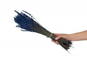 stabilisierter-lavendel-8.