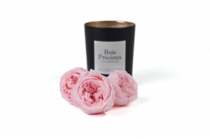 preserved-english-rose-30.