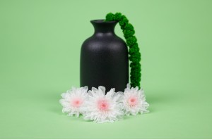 preserved-japanese-chrysanthemum-30.