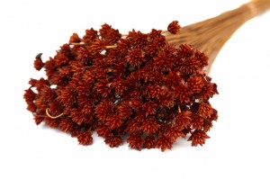 dried-hill-flower-12.