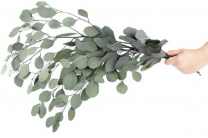 preserved-eucalyptus-green-11.