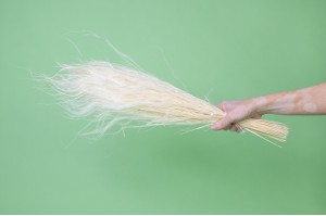 dried-stipa-pennata-natural-20.