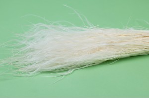 dried-stipa-pennata-natural-20.