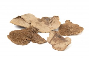 champignon-sec-250g-12.