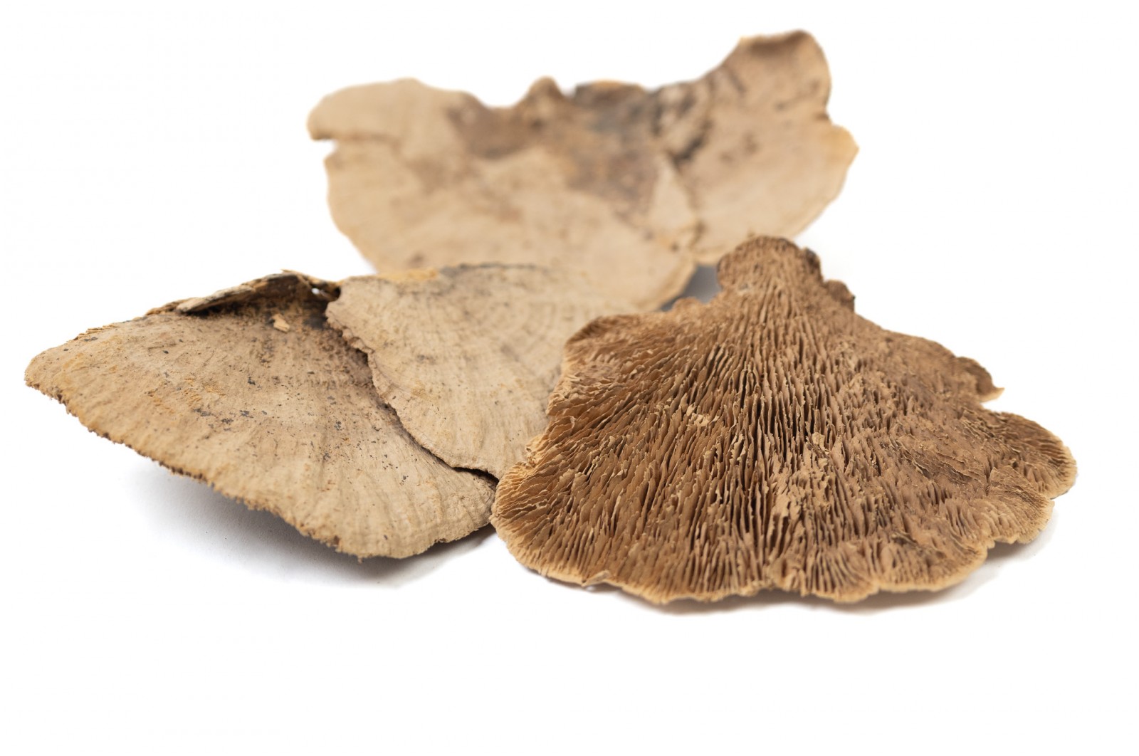 dried-mushroom-250-g-12