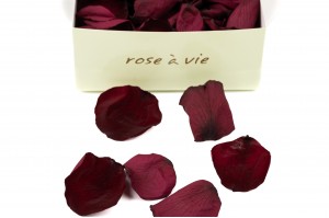 preserved-rose-petals-14.