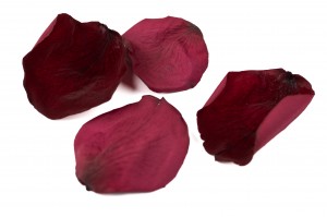 petales-de-rose-stabilisees-14