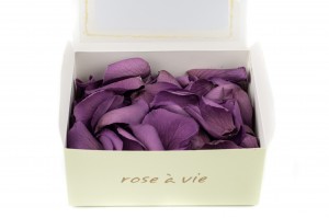 preserved-rose-petals-14.