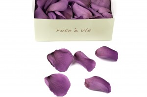 preserved-rose-petals-14.