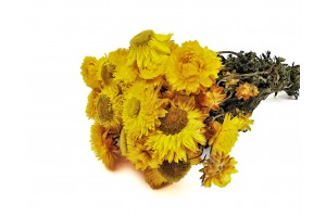 helichrysum-sec-18