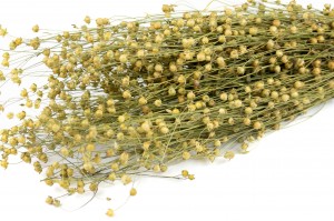 dried-flax-18