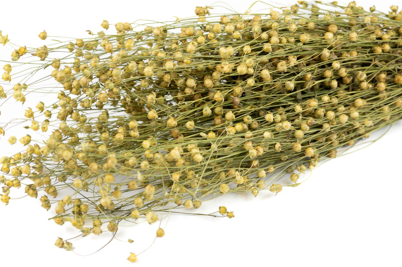 Dried flax (18) dried-flax-18