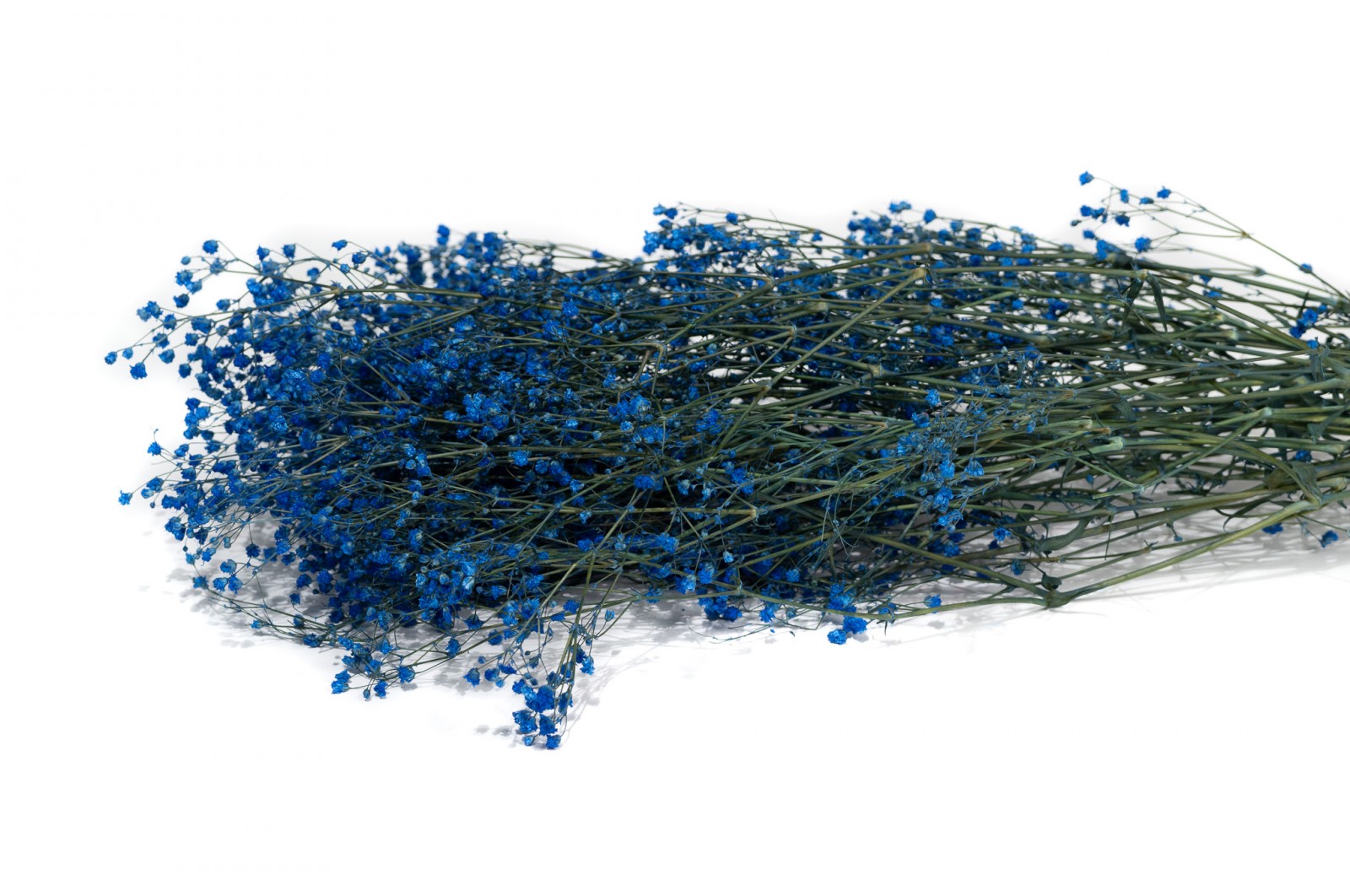 Preserved Gypsophila (6) preserved-gypsophila-paniculata-6