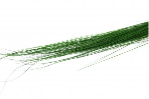 preserved-bright-grass-8