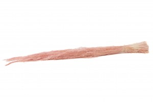 getrocknetes-straussgras-8.