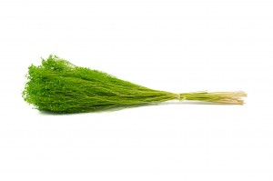 dried-broom-bloom-12.