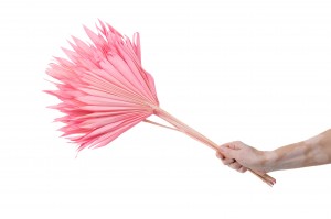 trockene-palme-mittel-12.