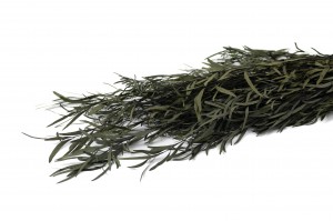 stabilisierte-eukalyptus-nicoly-35.