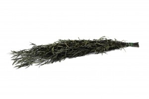 stabilisierte-eukalyptus-nicoly-35.