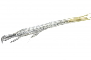 ble-sec-29.