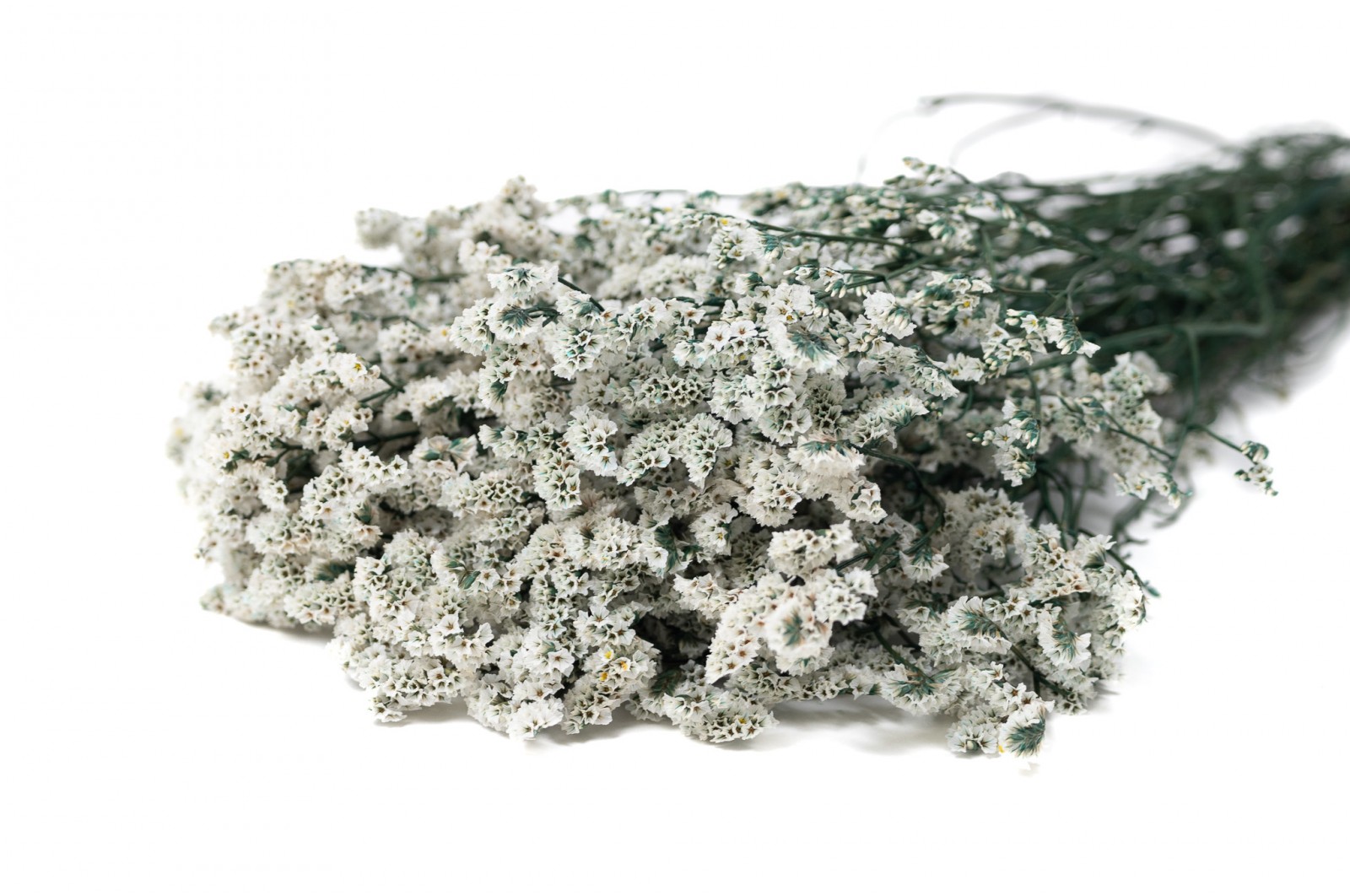 preserved-flowered-limonium-31