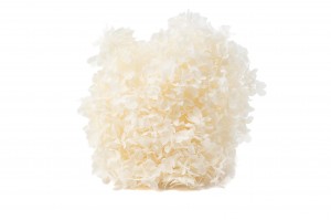 preserved-hydrangea-anna-31.