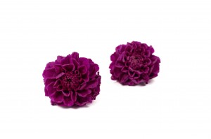 dahlia-stabilise-14.