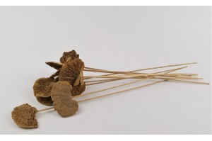 dried-mushroom-natural-10-pieces.
