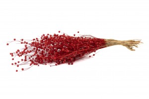 dried-flax-29.