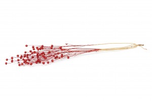 dried-flax-29.