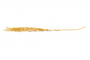 lepidium-stabilise-14.