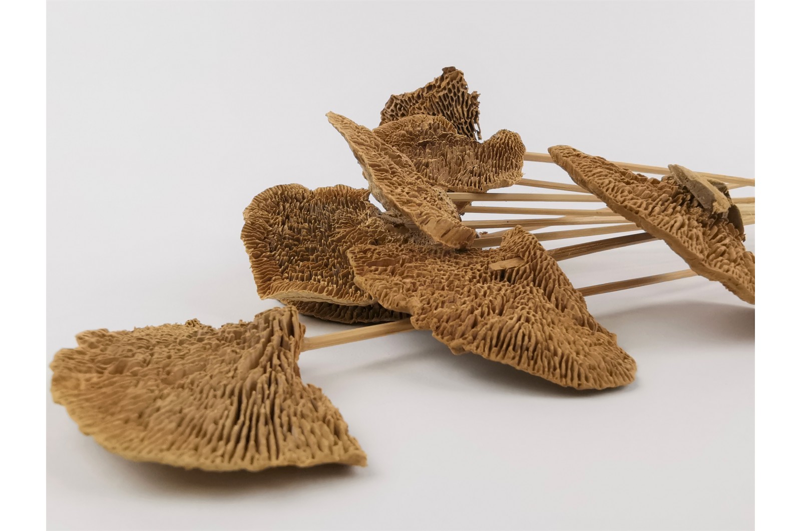 Dried mushroom natural (10 pieces) dried-mushroom-natural-10-pieces
