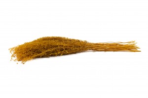 lepidium-stabilise-14.