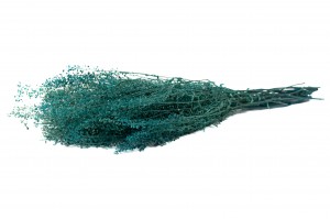 lepidium-stabilisiert-14.