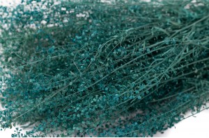 lepidium-stabilisiert-14.