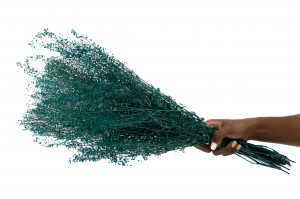 lepidium-stabilisiert-14.