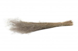dried-agrostis-8.