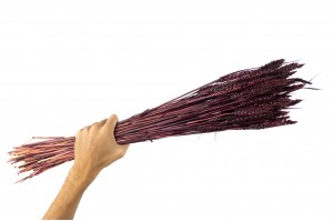 trockene-gerste-8.