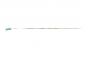 getrockenete-lagurus-8.
