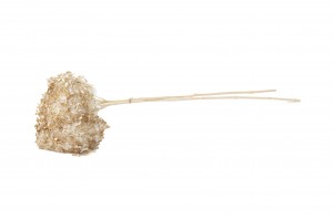 preserved-anna-hydrangea-8.