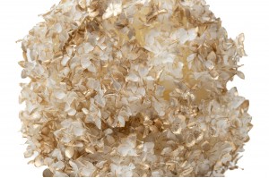 preserved-anna-hydrangea-8.
